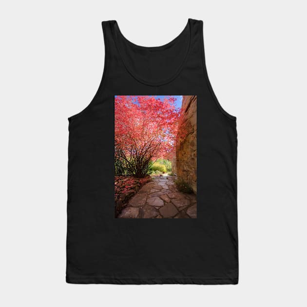 Autumn Pathway Tank Top by johno60